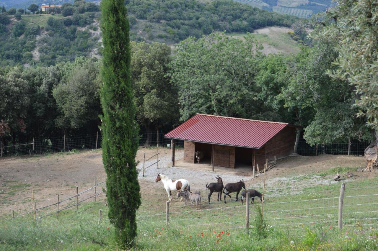 Bellavista Villa Seggiano Екстериор снимка