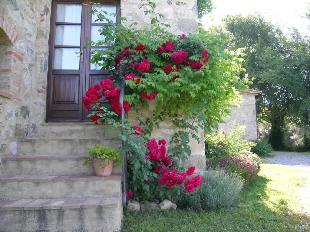 Bellavista Villa Seggiano Екстериор снимка
